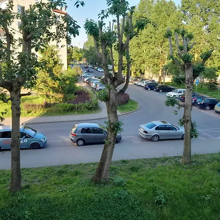 Ciotka Klotka Košalín